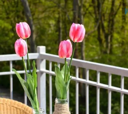 Apartment Haus Oldenburg 8 *